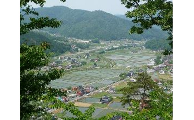 旬の野菜【M】セット【配達不可：北海道・沖縄・離島】