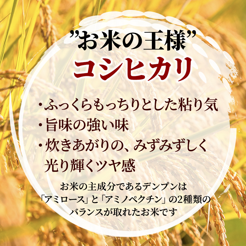 【定期便】広島県安芸高田市産コシヒカリ 精米8kg 2ヶ月お届け