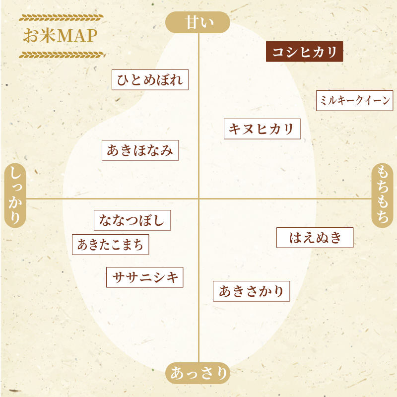 米 令和6年産 こしひかり 真空パック 10kg（5kg×2袋）2024年 広島県安芸高田市産 白米