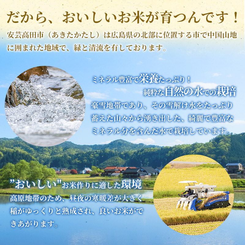 米 令和6年産 こしひかり 10kg（5kg×2袋） 2024年 広島県安芸高田市産 白米