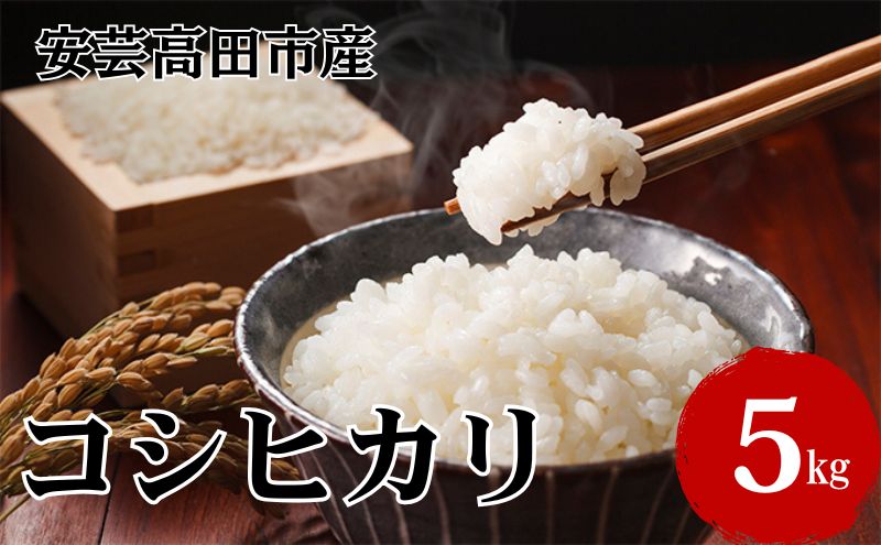 米 令和7年産　広島県安芸高田市産コシヒカリ5kg 精米／コシヒカリ こめ こしひかり 