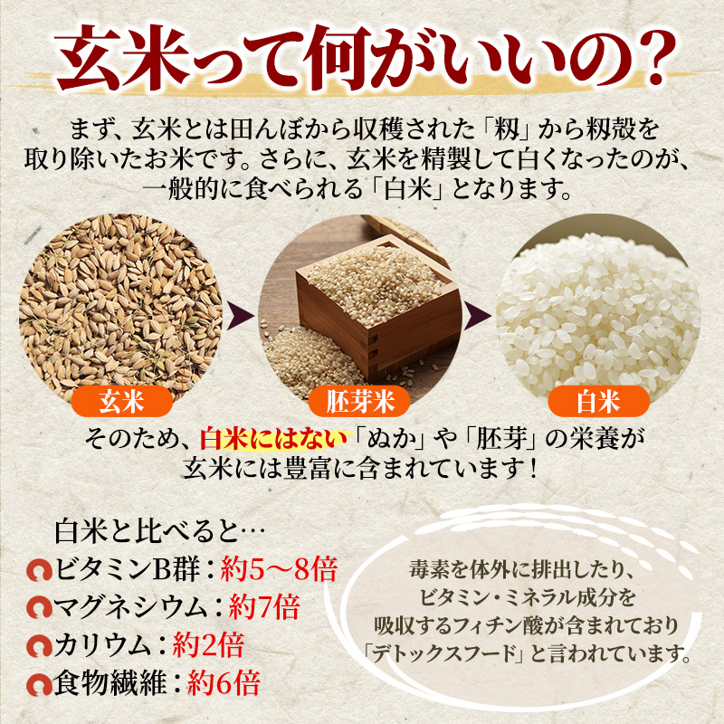 米 令和5年産　安芸高田市産コシヒカリ『玄米』6kg