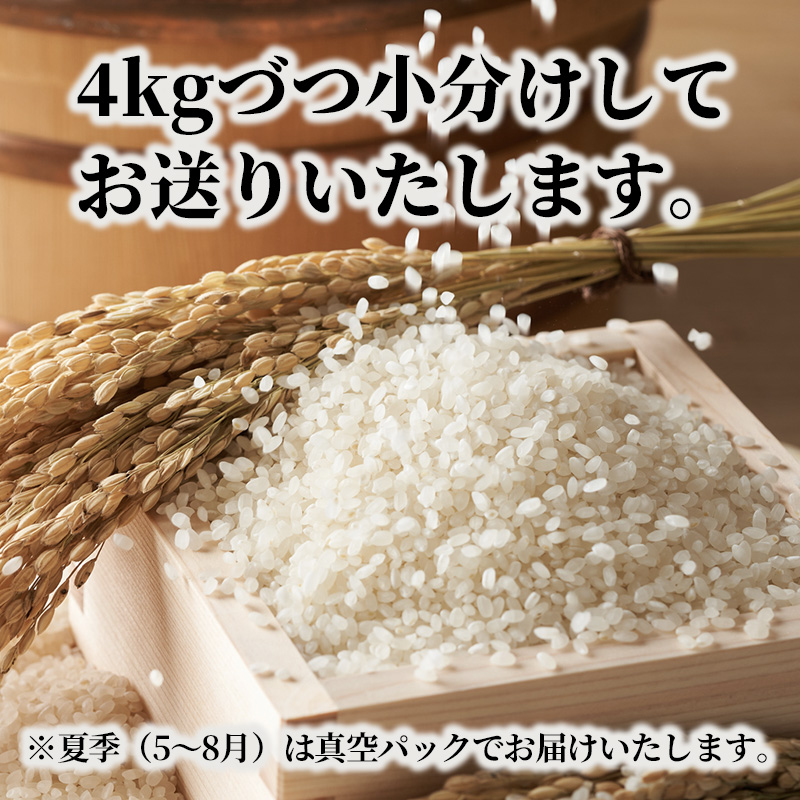 米 定期便 8kg 5ヶ月 コシヒカリ 広島県安芸高田市産 4kg×2袋 白米 精米