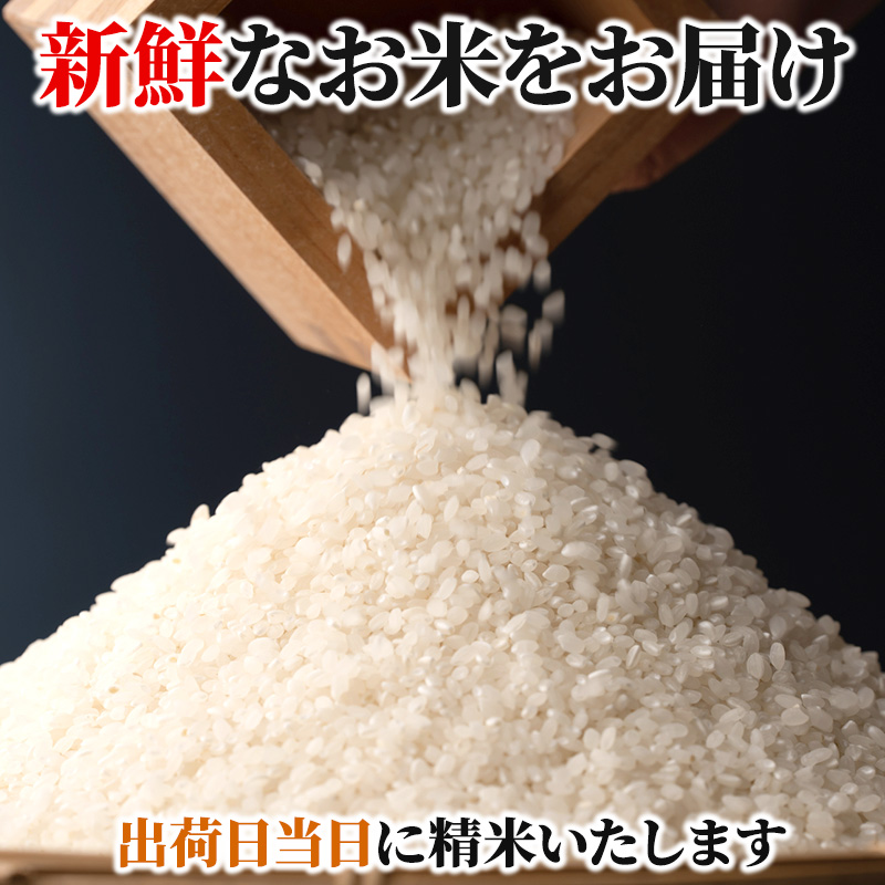 米 令和6年産　広島県安芸高田市産コシヒカリ 8kg (4kg×2袋)