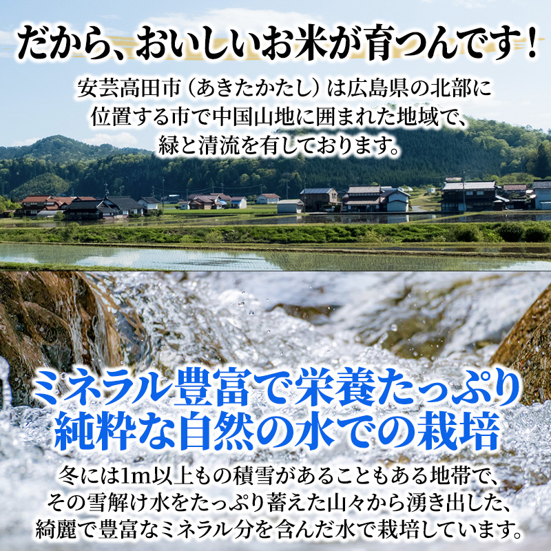 米 【10ヶ月お届け】令和5年産　安芸高田市産コシヒカリ6kg 精米／コシヒカリ こめ こしひかり 定期便 