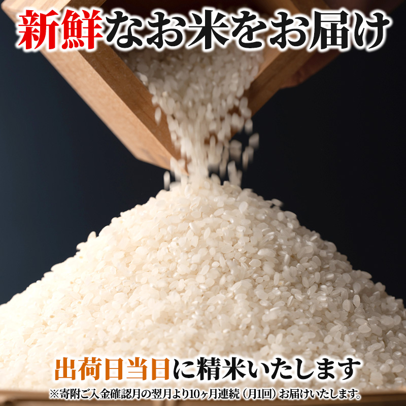 米 【10ヶ月お届け】令和5年産　安芸高田市産コシヒカリ6kg 精米／コシヒカリ こめ こしひかり 定期便 