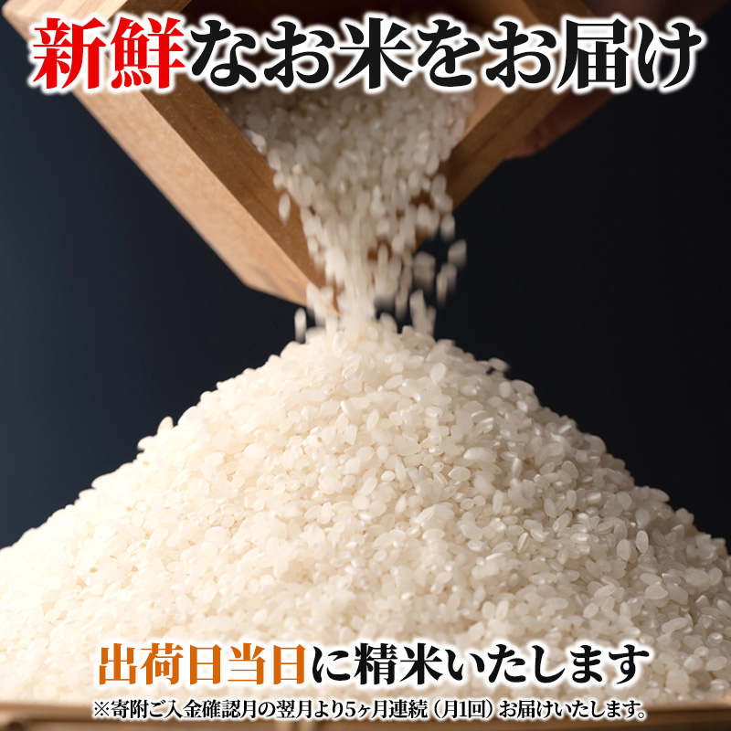 米 定期便 6kg 5ヶ月 令和5年 ミルキークイーン 広島県安芸高田市産 白米 精米