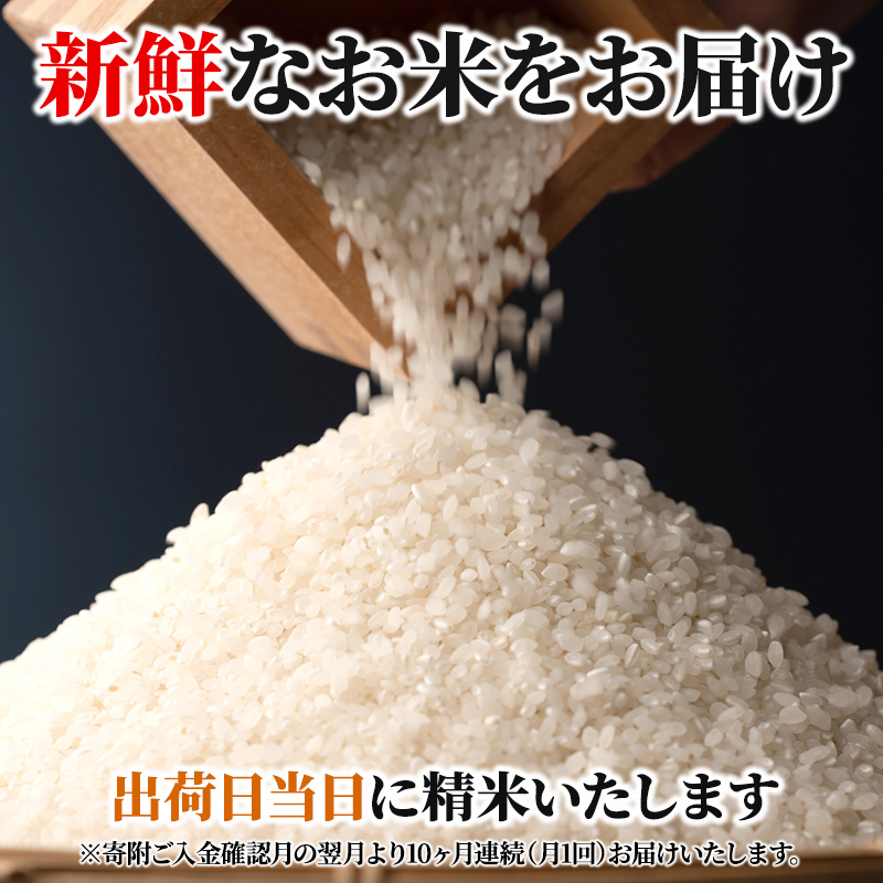 米 定期便 10ヶ月 6kg 令和5年 ミルキークイーン 広島県安芸高田市産