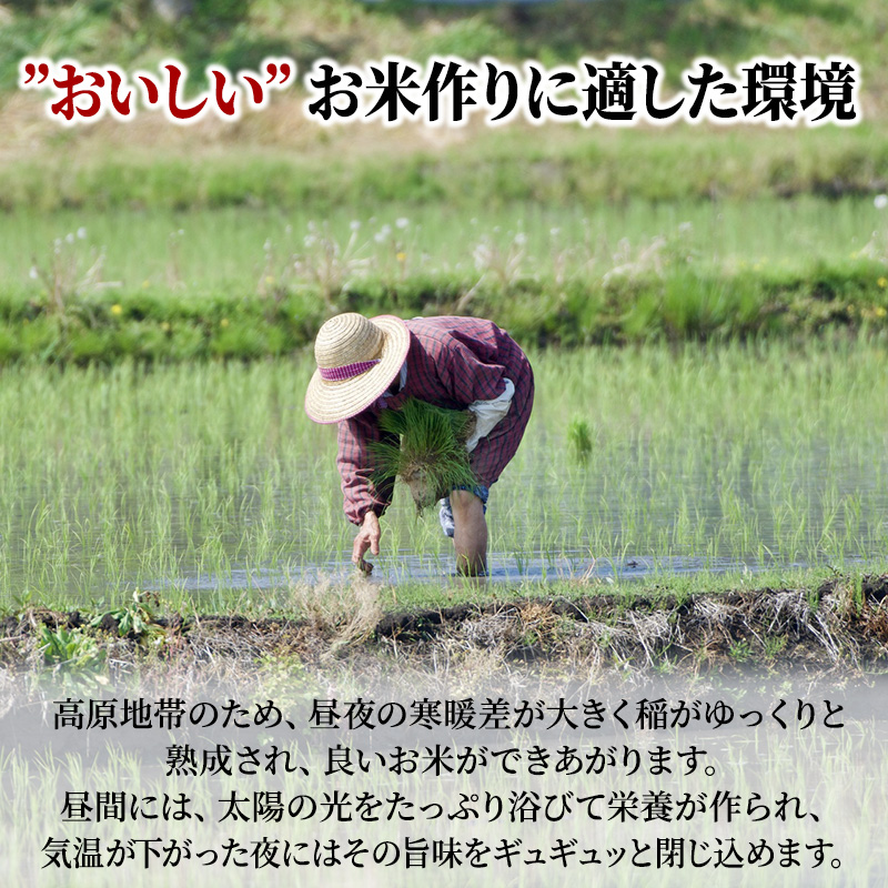 米 令和5年産　安芸高田市産コシヒカリ『玄米』8kg