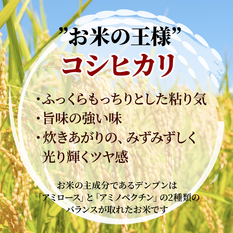 米 【3ヶ月お届け】令和5年産　安芸高田市産コシヒカリ『玄米』6kg
