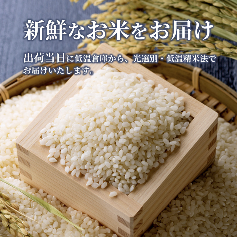 米 令和6年産 こしひかり 10kg（5kg×2袋） 2024年 広島県安芸高田市産 白米