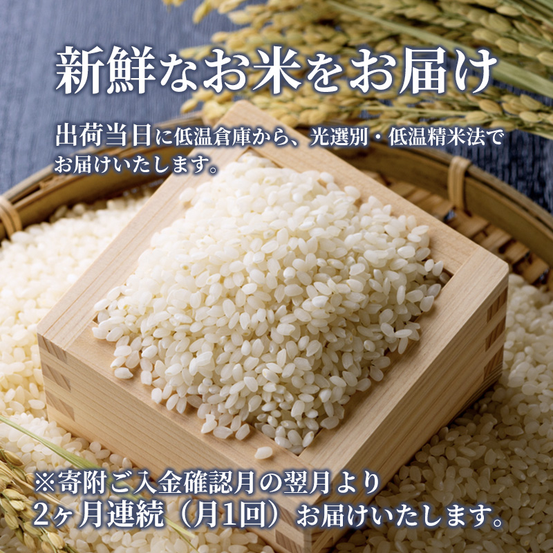 米 【定期便2ヶ月】令和5年 広島県安芸高田市産 こしひかり 10kg（5kg×2袋） お米 コシヒカリ 2ヶ月連続 2回 計20kg 