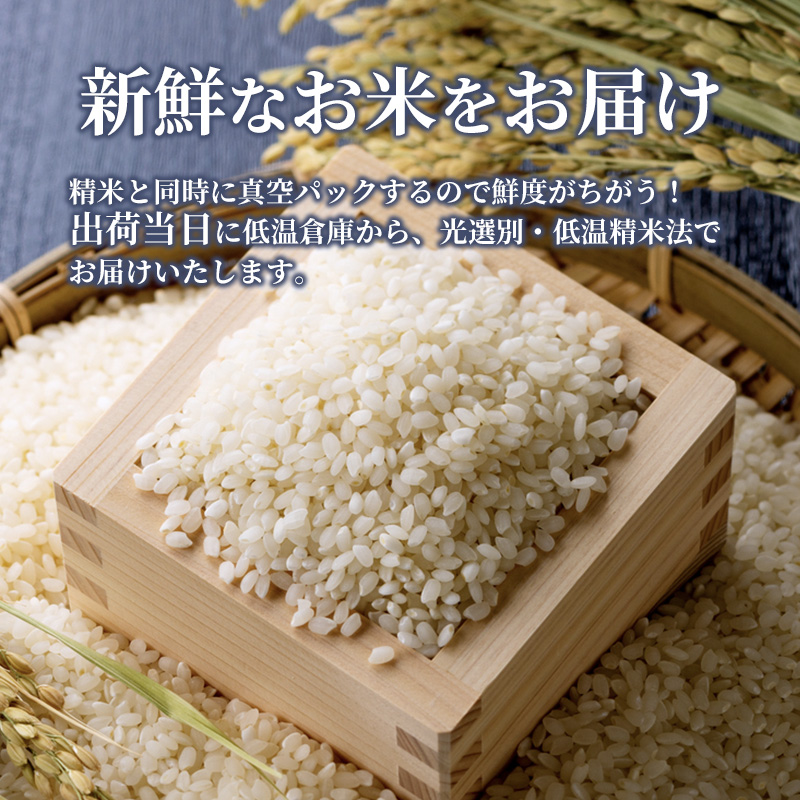 米 令和6年産 こしひかり 真空パック 10kg（5kg×2袋）2024年 広島県安芸高田市産 白米