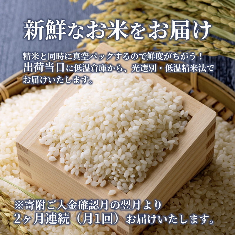 米 【定期便2ヶ月】令和5年 広島県安芸高田市産 こしひかり 真空パック 10kg（5kg×2袋） お米 コシヒカリ 2ヶ月連続 2回 計20kg 