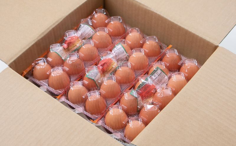3ヶ月 定期便 こだわり家族のこだわり卵 30個 セット安芸高田市 たまご 鶏卵 3回
