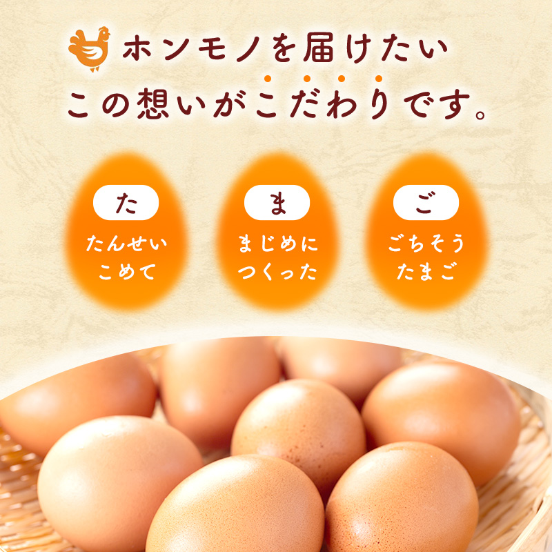 12ヶ月 定期便 こだわり家族のこだわり卵 30個 セット 安芸高田市 たまご 鶏卵 12回