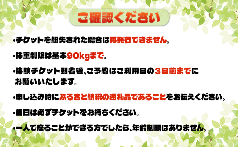 初心者歓迎 森の中を馬に乗ってお散歩プラン(15分)  ミニ外乗 体験 広島 安芸高田市 エオの谷