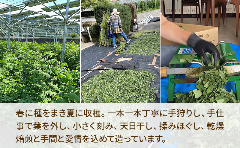 ときこばあちゃんの向原川之内 はぶ草茶 180g×1袋 茶葉 お茶 ハブ草茶 ノンカフェイン 国産 無農薬 広島 安芸高田市