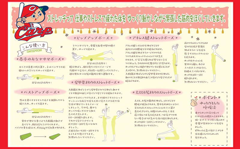 カープ公認 骨盤スリムストレッチクッション 猫背 巻き肩 肩甲骨 骨盤 ストレッチ クッション カープ 広島 安芸高田市