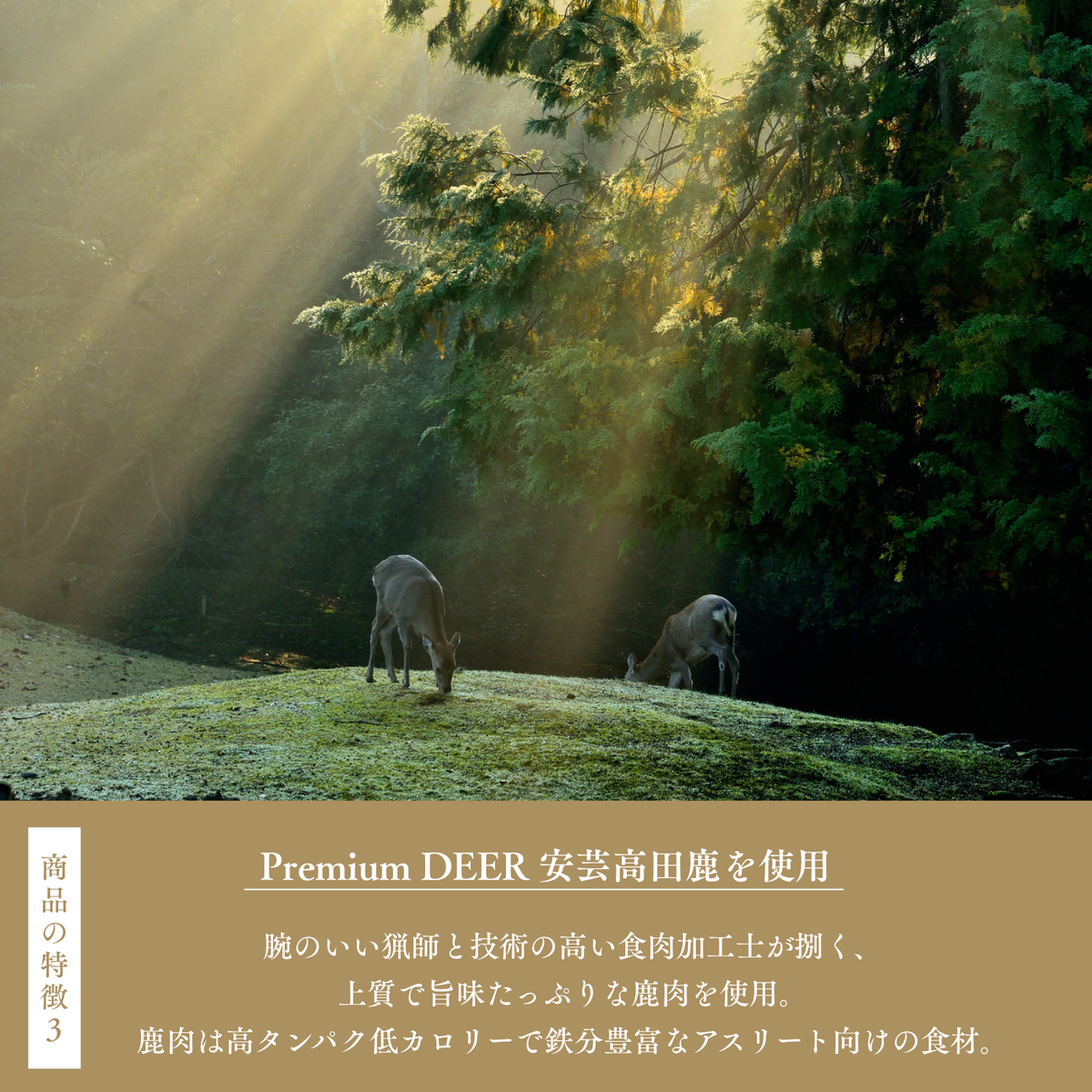 鹿é¬ããŒãã4人å300gÃ2é£å