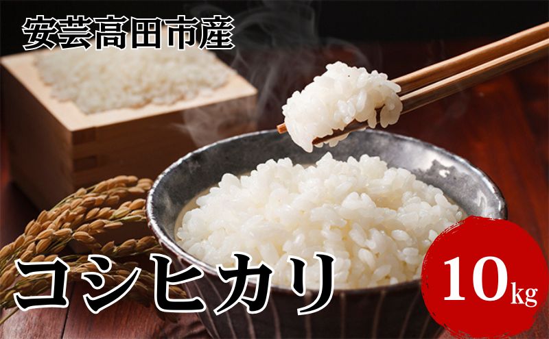 米 令和7年産　広島県安芸高田市産コシヒカリ10kg（5kg×2袋） 精米／コシヒカリ こめ こしひかり 