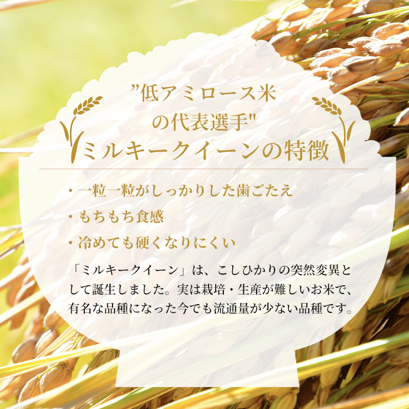 米 令和6年産 ミルキークイーン 真空パック 10kg （5kg×2袋） 2024年 広島県安芸高田市産 白米