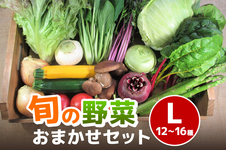 旬の野菜【L】セット【配達不可：北海道・沖縄・離島】 詰合せ