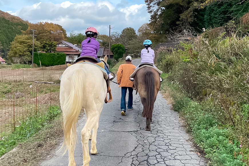 初心者歓迎 森の中を馬に乗ってお散歩プラン(30分)  外乗 体験 広島 安芸高田市 エオの谷