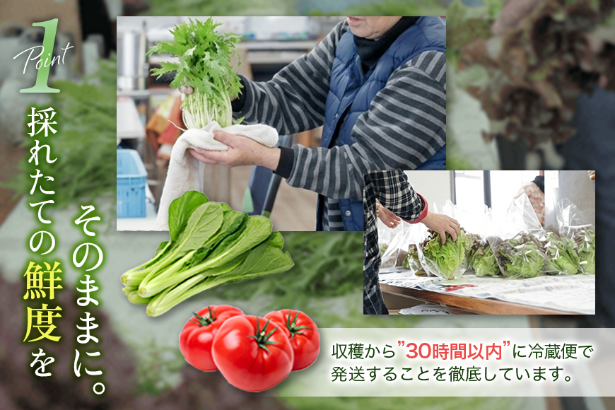 螳芽敢鬮倡伐蟶ゅョ蟆上&縺ェ霎イ螳カ縺後♀螻翫¢縺吶k縺オ繧九&縺ィ譌ャ驥手除繧サ繝繝 驥手除鬘 隧ー蜷医○ 繧縺輔>