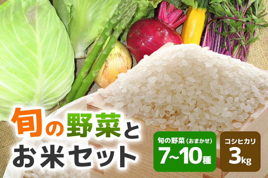 旬の野菜とお米のセット【配達不可：北海道・沖縄・離島】 詰合せ コシヒカリ 3kg 