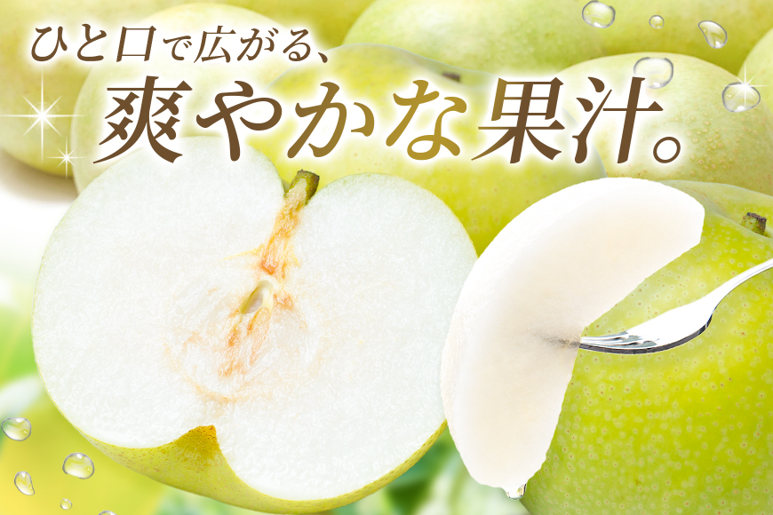梨 2026年 先行予約 二十世紀梨 5kg 12〜14玉 果物 なし 広島県 安芸高田市