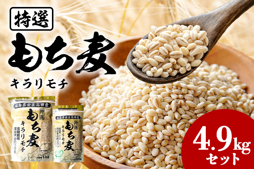 もち麦 国産 キラリモチ 特選もち麦 4.9kgセット 広島県安芸高田産 お米 安心 安全  炊飯 変色 食物繊維 大粒 栄養価 ぷりぷり 大麦