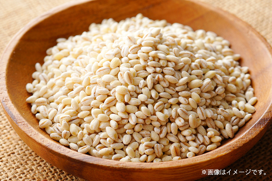 もち麦 国産 キラリモチ 特選もち麦 4.9kgセット 広島県安芸高田産 お米 安心 安全  炊飯 変色 食物繊維 大粒 栄養価 ぷりぷり 大麦 