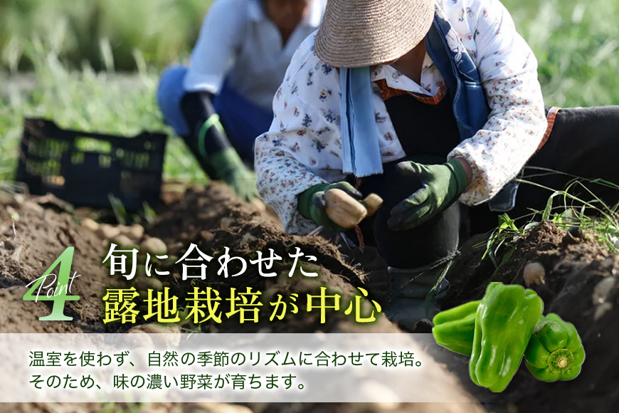 螳芽敢鬮倡伐蟶ゅョ蟆上&縺ェ霎イ螳カ縺後♀螻翫¢縺吶k縺オ繧九&縺ィ譌ャ驥手除繧サ繝繝 驥手除鬘 隧ー蜷医○ 繧縺輔>