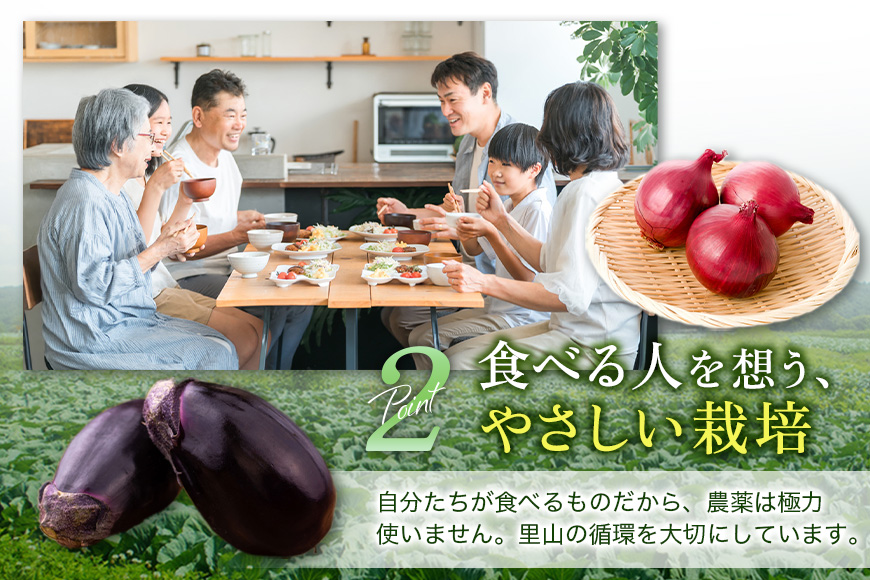 螳芽敢鬮倡伐蟶ゅョ蟆上&縺ェ霎イ螳カ縺後♀螻翫¢縺吶k縺オ繧九&縺ィ譌ャ驥手除繧サ繝繝 驥手除鬘 隧ー蜷医○ 繧縺輔>