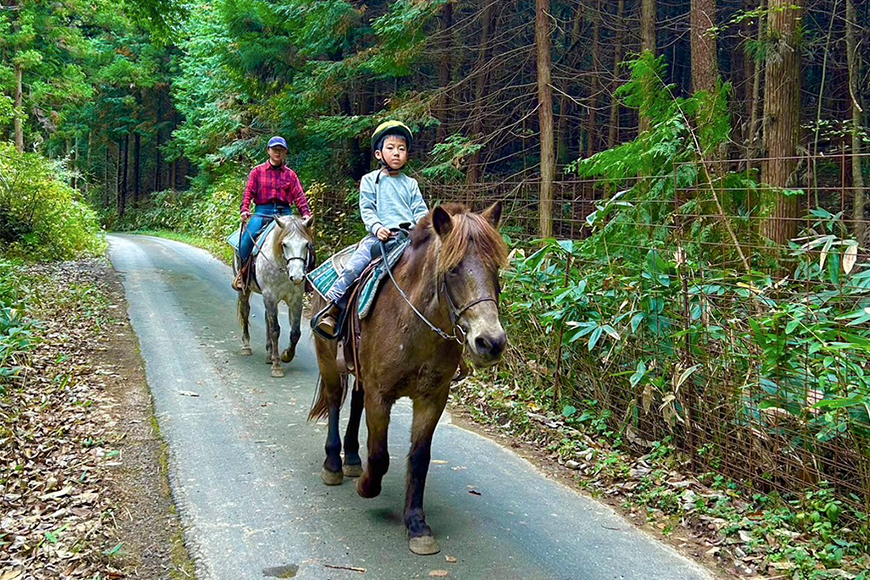 初心者歓迎 森の中を馬に乗ってお散歩プラン(30分)  外乗 体験 広島 安芸高田市 エオの谷