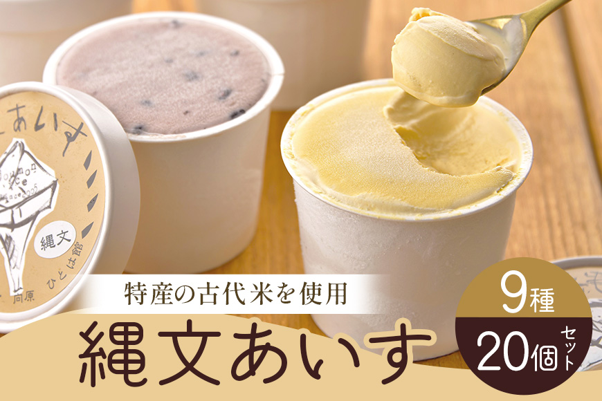 縄文あいす 20個 セット アイス アイスクリーム 広島 安芸高田市