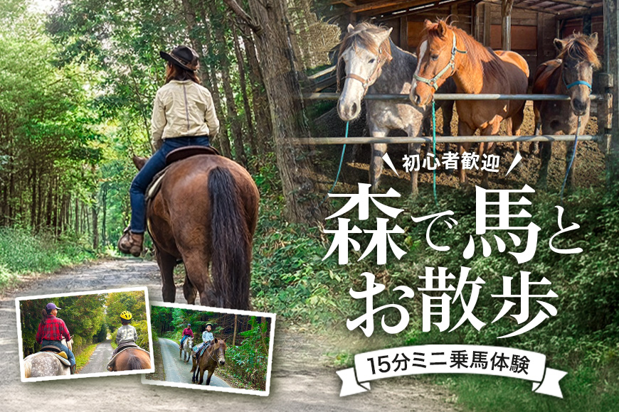 初心者歓迎 森の中を馬に乗ってお散歩プラン(15分)  ミニ外乗 体験 広島 安芸高田市 エオの谷