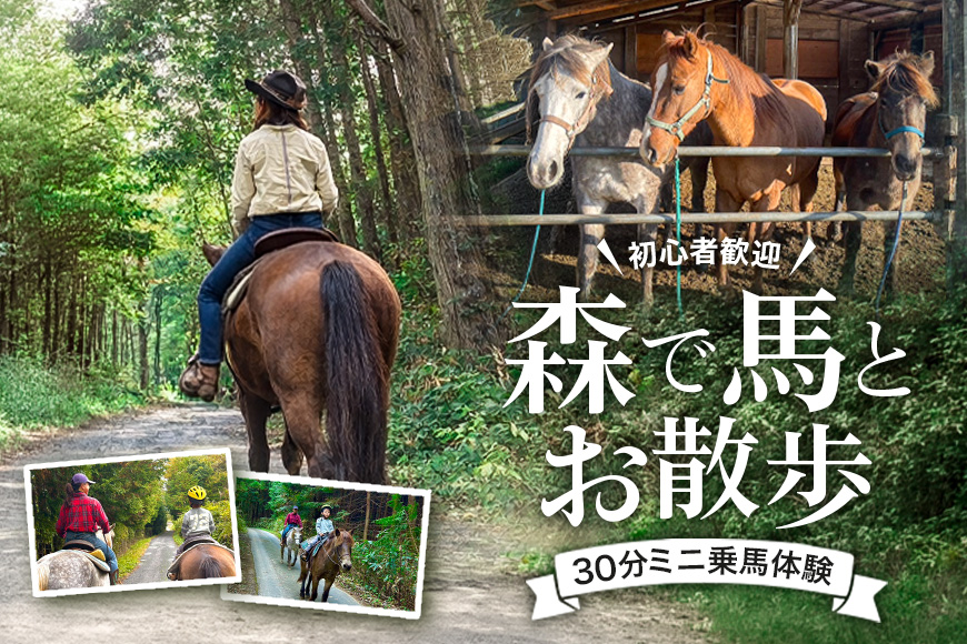 初心者歓迎 森の中を馬に乗ってお散歩プラン(30分)  外乗 体験 広島 安芸高田市 エオの谷