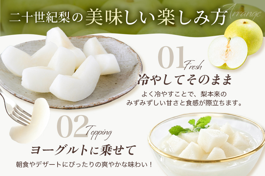 梨 2026年 先行予約 二十世紀梨 5kg 12〜14玉 果物 なし 広島県 安芸高田市