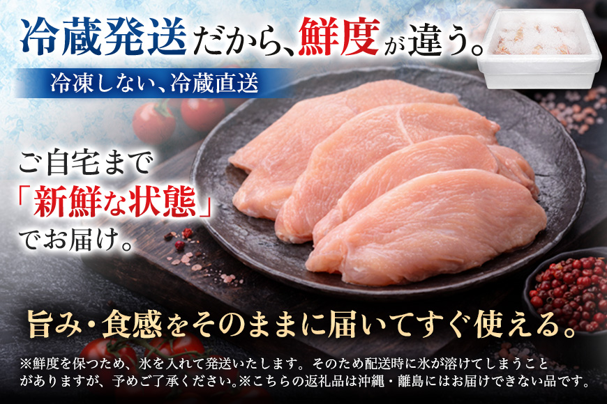 鶏肉 セット 広島熟成どり 8kg ( むね肉 6kg ・ささみ 2kg ) 配達不可：沖縄・離島 胸肉   ササミ