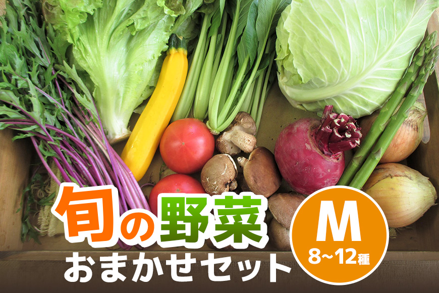 旬の野菜【M】セット【配達不可：北海道・沖縄・離島】 詰合せ