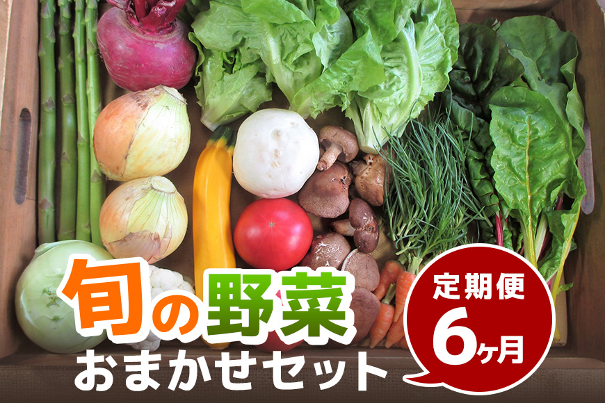 旬の野菜・定期便（6か月）【配達不可：北海道・沖縄・離島】 セット 詰合せ 6ヶ月 6回