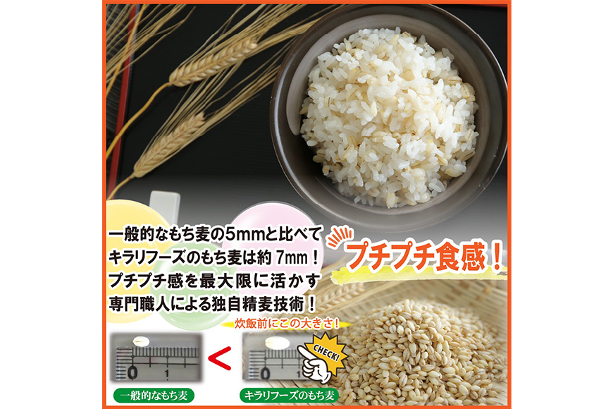 広島県安芸高田産 特選もち麦 キラリモチ 6.6kg + 国内産十六穀米 480g セット 国産 安心 安全 炊飯 食物繊維 大粒 栄養価 ぷりぷり 大麦 米 雑穀 もち麦ごはん ゆでもち麦 広島 安芸高田
