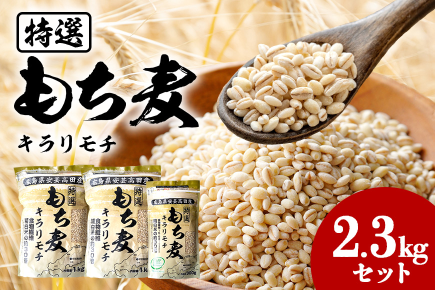 もち麦 国産 キラリモチ 特選もち麦 2.3kgセット 広島県安芸高田産 お米 安心 安全　炊飯 変色 食物繊維 大粒 栄養価 ぷりぷり 大麦