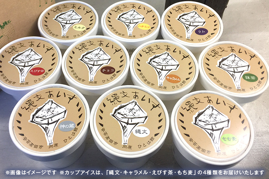 縄文あいす 4個 & 縄文あいすもなか 6個 セット アイス アイスクリーム 最中 広島 安芸高田市