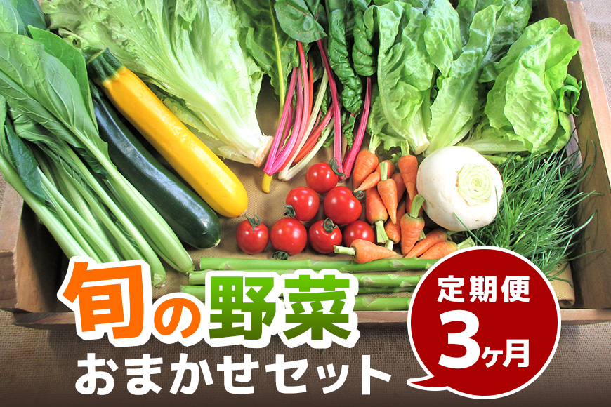 旬の野菜・定期便（3か月）【配達不可：北海道・沖縄・離島】 セット 詰合せ 3カ月 3回