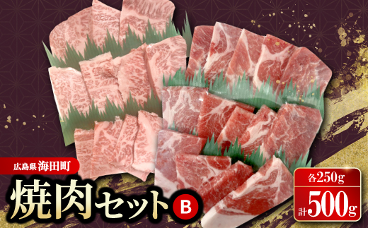 焼肉セットB(和牛250g　豚肉250g)【配送不可地域：離島】【1696903】