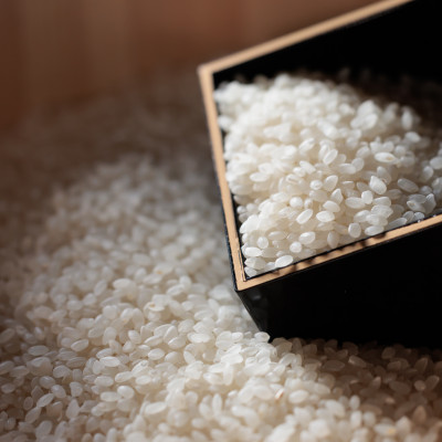 無洗米広島県産コシヒカリ10kg【1294707】