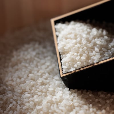 【毎月定期便】広島県産コシヒカリ5kg全3回【4075393】